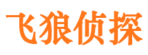 江夏市场调查